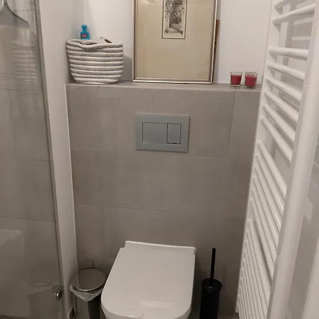 Apartment Either Private 2b2b Or Shared 1b1b, Luxury, Bright, Spacious *