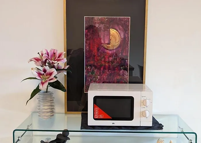 Either Private 2b2b Or Shared 1b1b, Luxury, Bright, Spacious * 베를린